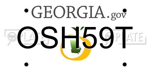 OSH59T Georgia License Plate