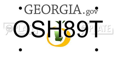 OSH89T Georgia License Plate