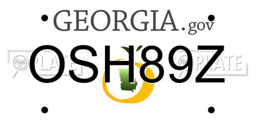 OSH89Z Georgia License Plate