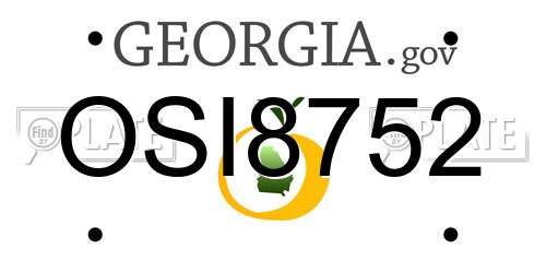 OSI8752 Georgia License Plate