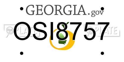 OSI8757 Georgia License Plate