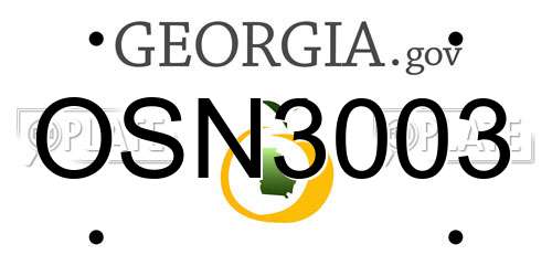 OSN3003 Georgia License Plate