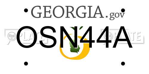 OSN44A Georgia License Plate