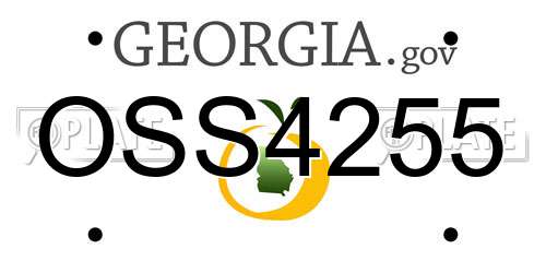 OSS4255 Georgia License Plate