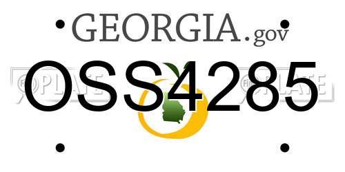 OSS4285 Georgia License Plate