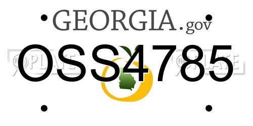 OSS4785 Georgia License Plate