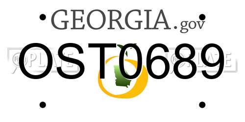 OST0689 Georgia License Plate
