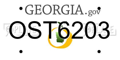 OST6203 Georgia License Plate
