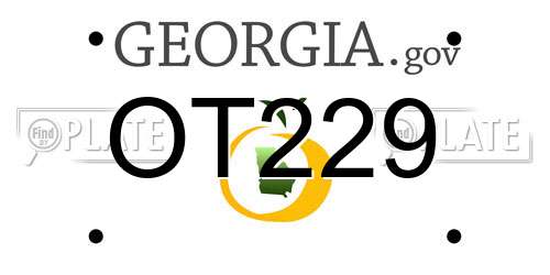 OT229 Georgia License Plate