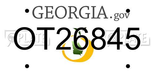OT26845 Georgia License Plate