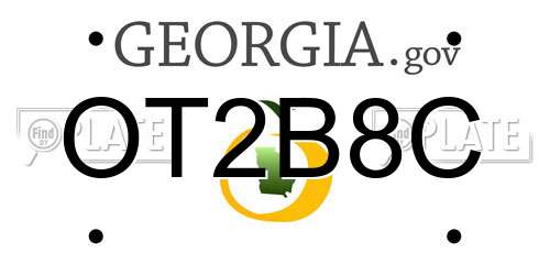 OT2B8C Georgia License Plate