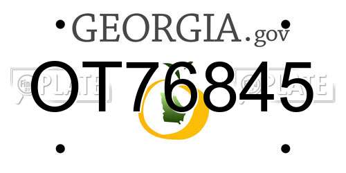 OT76845 Georgia License Plate