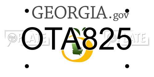 OTA825 Georgia License Plate