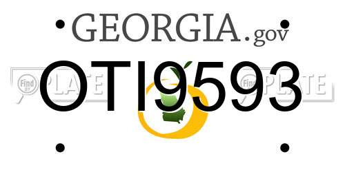 OTI9593 Georgia License Plate