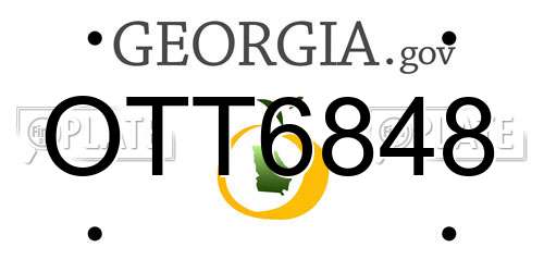 OTT6848 Georgia License Plate