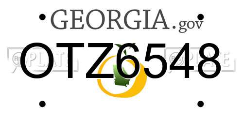 OTZ6548 Georgia License Plate