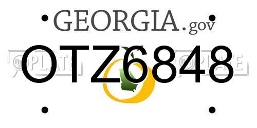 OTZ6848 Georgia License Plate