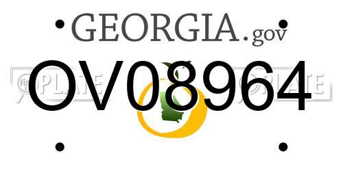 OV08964 Georgia License Plate