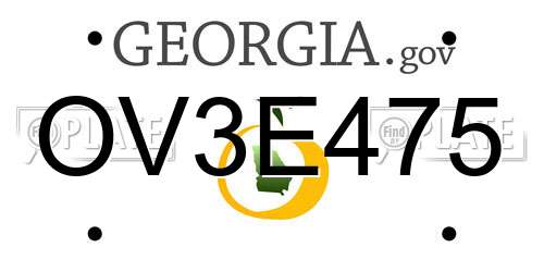 OV3E475 Georgia License Plate