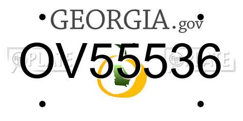 OV55536 Georgia License Plate
