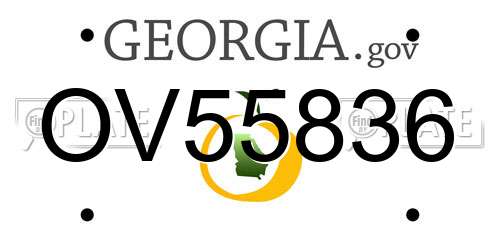OV55836 Georgia License Plate
