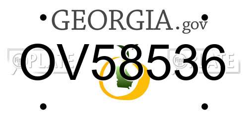 OV58536 Georgia License Plate