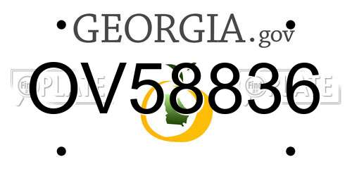 OV58836 Georgia License Plate