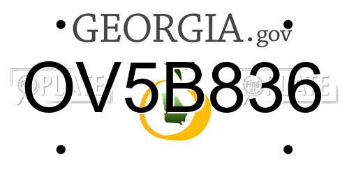 OV5B836 Georgia License Plate