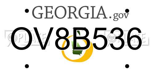 OV8B536 Georgia License Plate