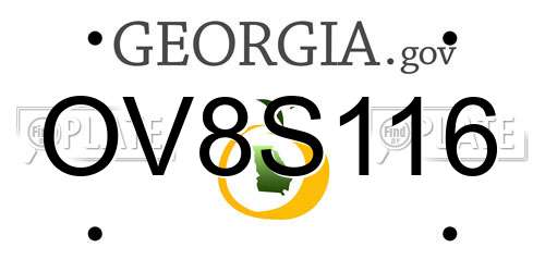 OV8S116 Georgia License Plate