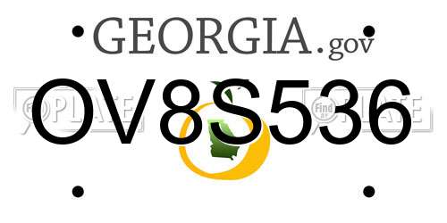 OV8S536 Georgia License Plate