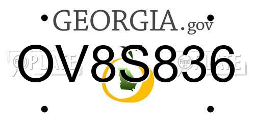 OV8S836 Georgia License Plate