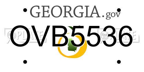OVB5536 Georgia License Plate