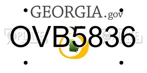 OVB5836 Georgia License Plate