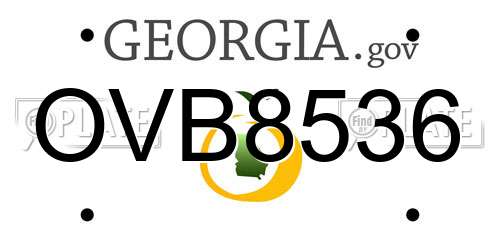 OVB8536 Georgia License Plate
