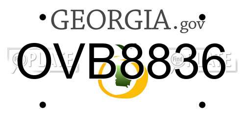 OVB8836 Georgia License Plate