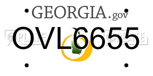 OVL6655 Georgia License Plate