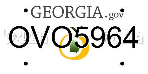 OVO5964 Georgia License Plate