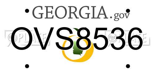 OVS8536 Georgia License Plate
