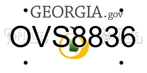 OVS8836 Georgia License Plate