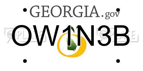 OW1N3B Georgia License Plate