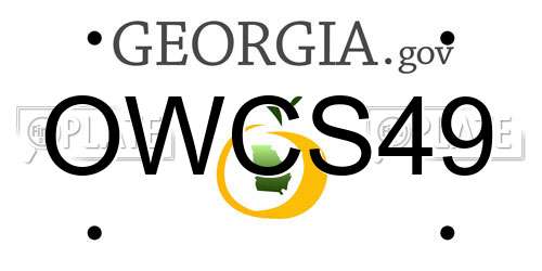 OWCS49 Georgia License Plate
