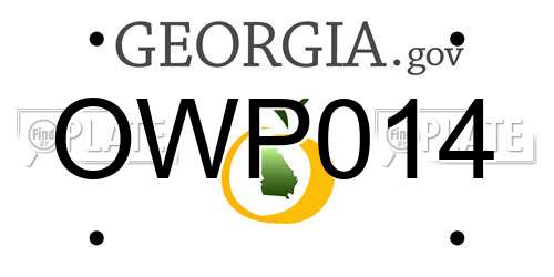 OWP014 Georgia License Plate