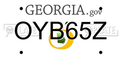 OYB65Z Georgia License Plate