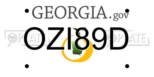 OZI89D Georgia License Plate