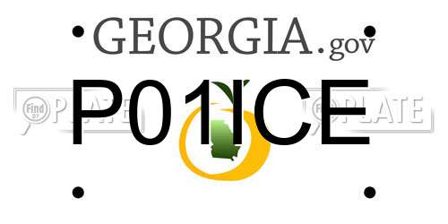 P01ICE Georgia License Plate