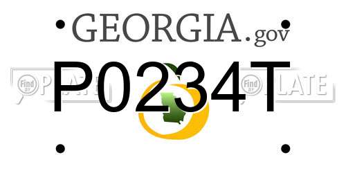 P0234T Georgia License Plate