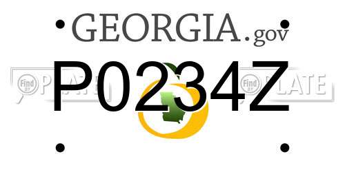P0234Z Georgia License Plate