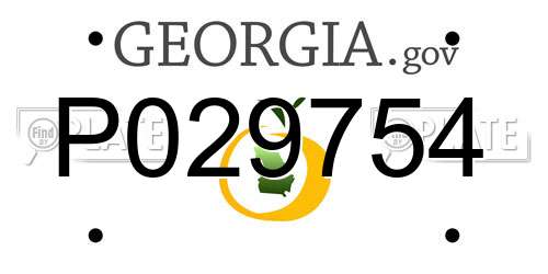P029754 Georgia License Plate