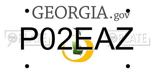 P02EAZ Georgia License Plate